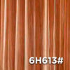 6H613#
