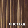 6H613X#
