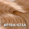 #P18A-613A
