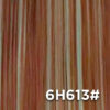 6H613#