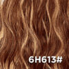 6H613#