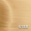 613#