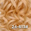 24-613#