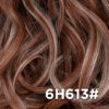 6H613#