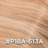 #P18A-613A