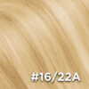#16/22A