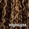 Highlight#