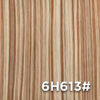 6H613#
