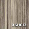 X6H613
