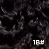 1B#