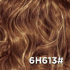 6H613#