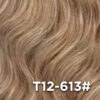T12-613#