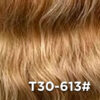 T30-613#