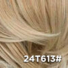 24T613#