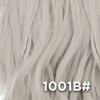 1001B#