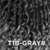 T1B-GRAY#